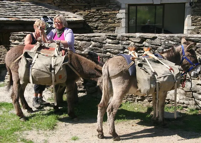 Chambres D'hotes Lou-rey 招待所 *